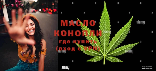 дмт Богданович