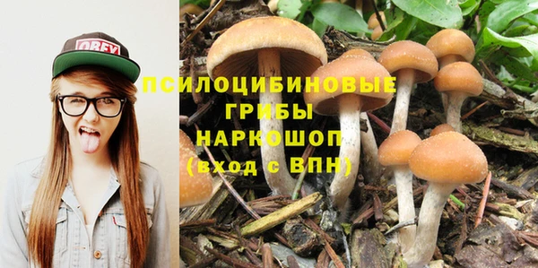 ALPHA PVP Богородск