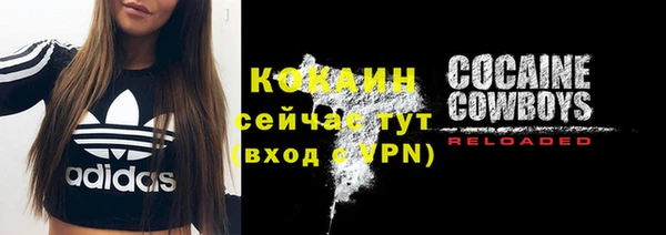 дмт Богданович