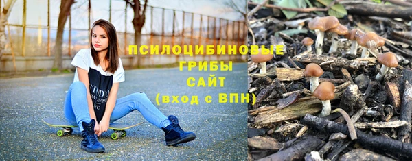 дмт Богданович
