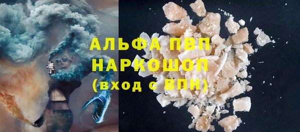дмт Богданович