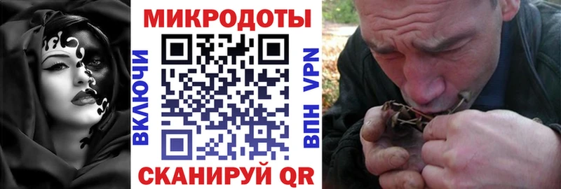 Псилоцибиновые грибы прущие грибы  Неман 